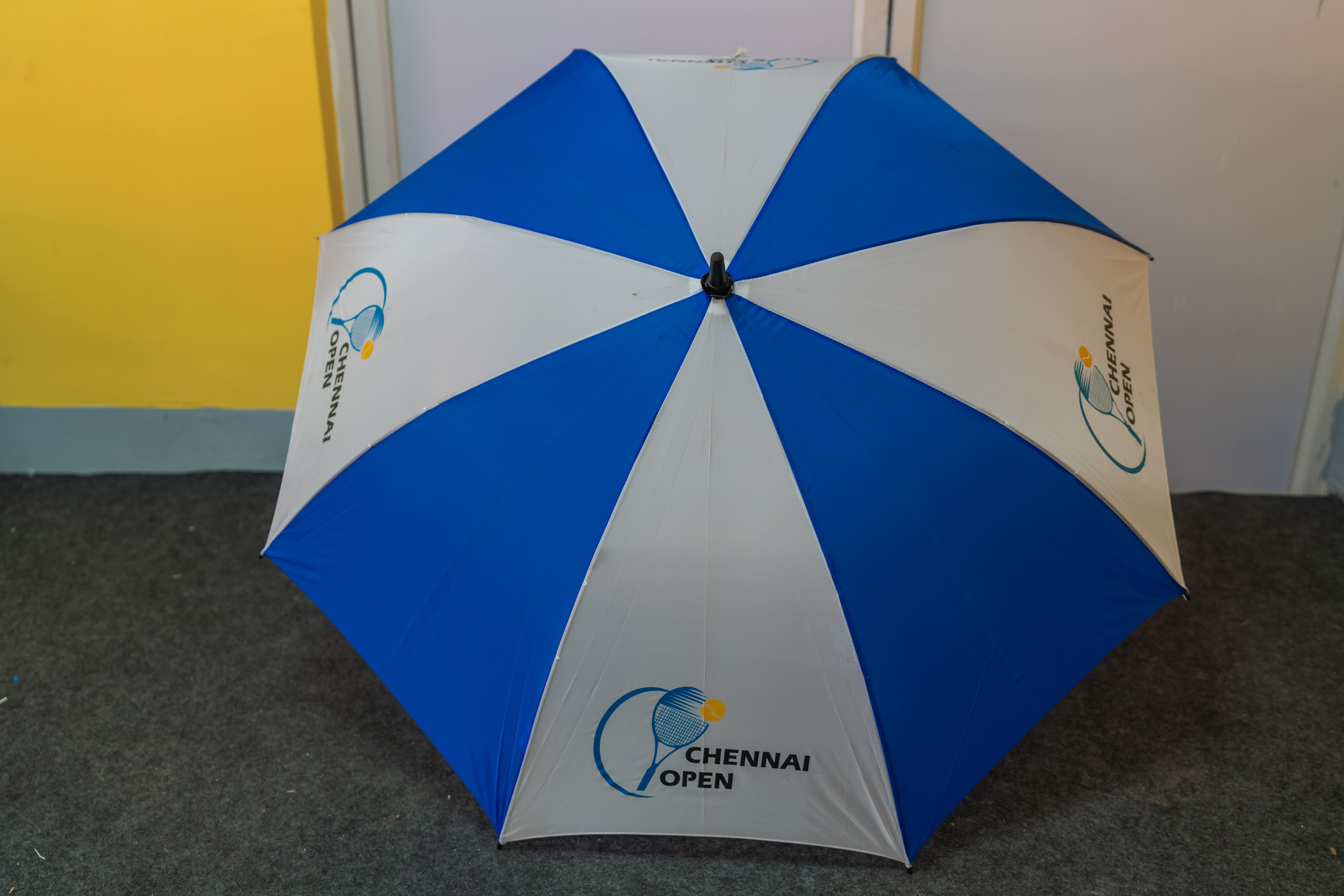 Umbrella - Image 2